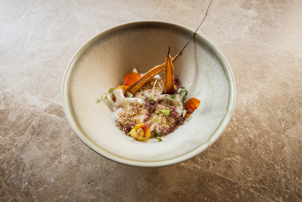 The Chick Mechelen Photos 2